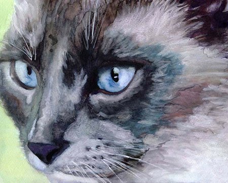 Кот акварелью для начинающих