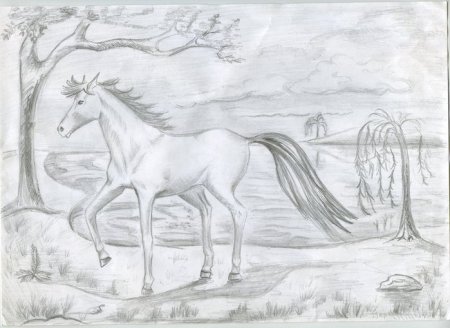 Рисунки для срисовки природа