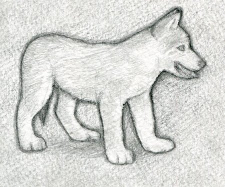 Рисунки животных карандашом