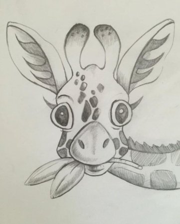 Рисунки карандашом животные лёгкие