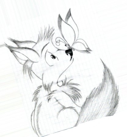 Рисунки карандашом животные