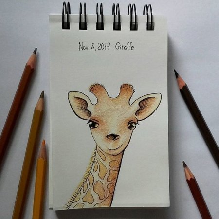 Рисование в скетчбуке животных