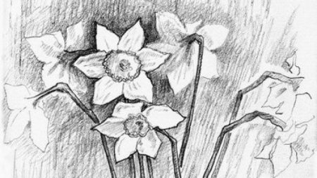 Композиции карандашом для срисовки