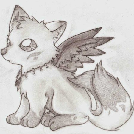 Рисунок волка карандашом для срисовки