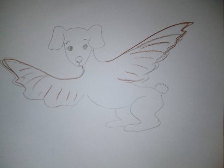 Рисунки несуществующих животных карандашом