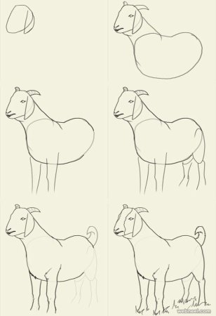 Наброски животных легкие