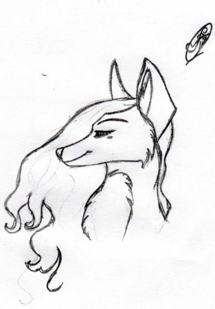 Животные для срисовки