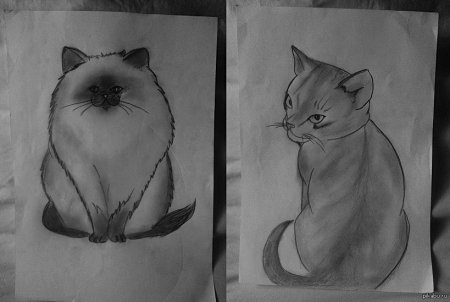 Любые рисунки легкие