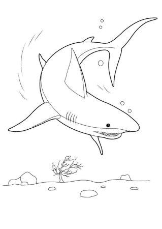 Морские обитатели на одном листе