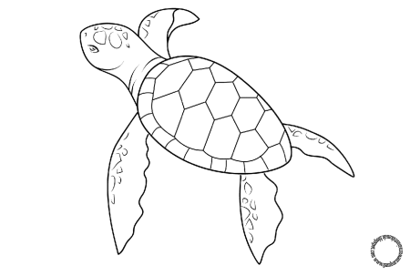 Рисование касатки пошагово