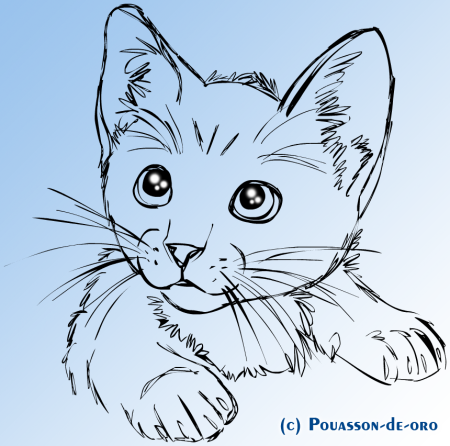 Рисунки для срисовки лёгкие котята