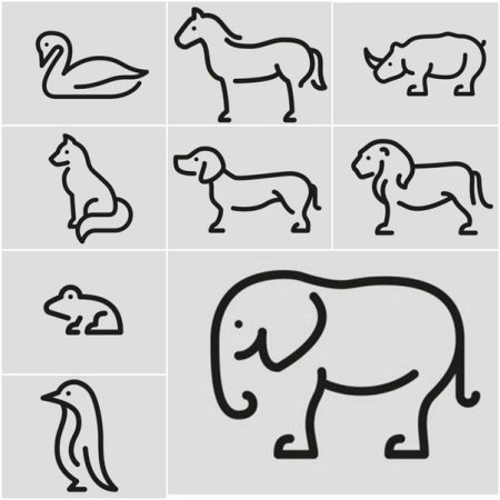 Белка раскраска для детей