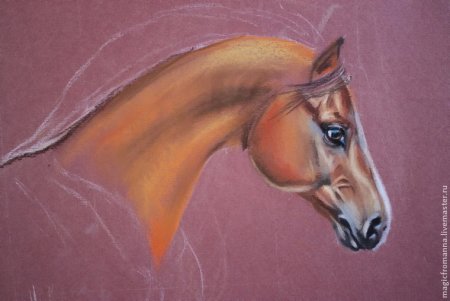 Рисование животных пастелью