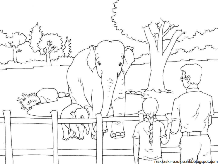 Раскраска зоопарк