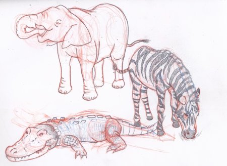 Скетчи животных из зоопарка