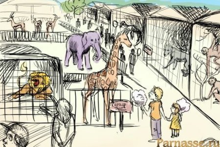 Зоопарк рисунок