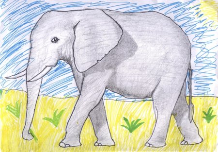 Рисунок слона 1 класс