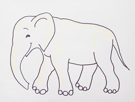 Рисунок слона для срисовки