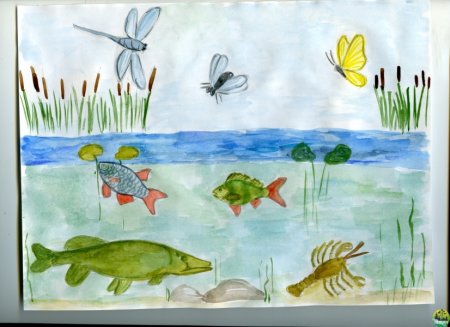 Рисование обитатели водоемов