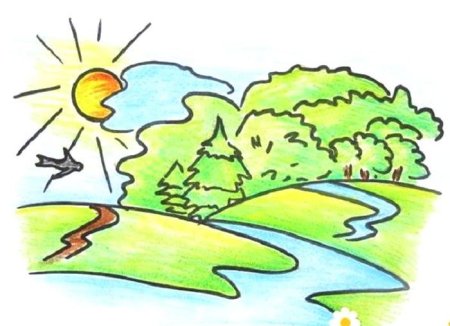 Летние рисунки карандашом