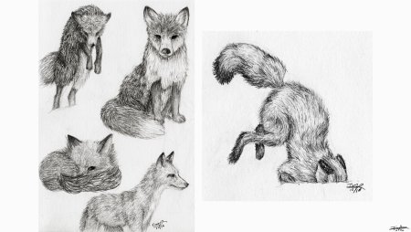 Рисунки карандашом