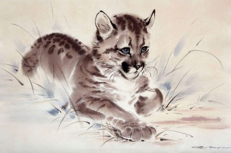 Анималистическая иллюстрация