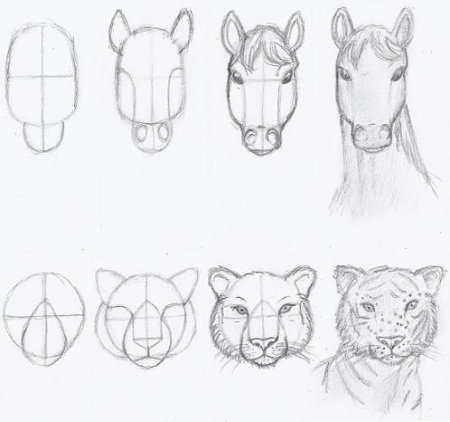 Анималистический рисунок легкий