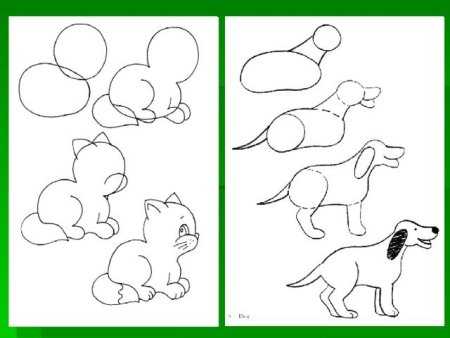 Набросок собаки лёгкие