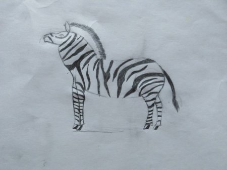 Рисунки карандашом животные лёгкие