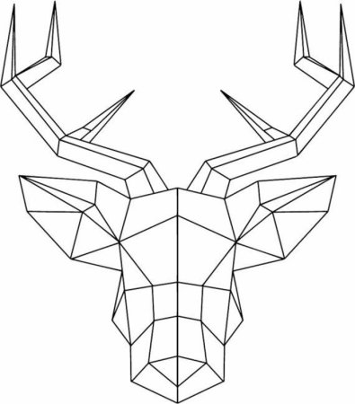 Геометрическая кошка