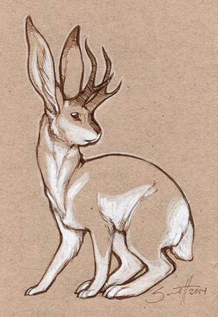 Заяц с оленьими рогами