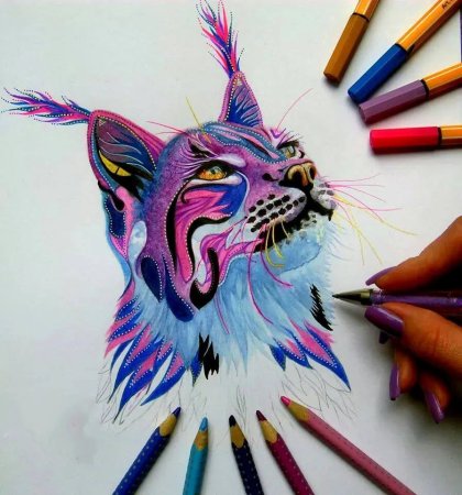 Котик маркерами