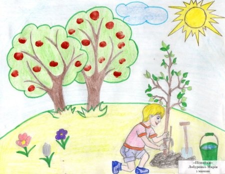 Друзья природы рисунки