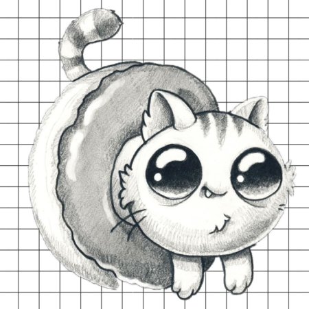 Кавайные котики любовь