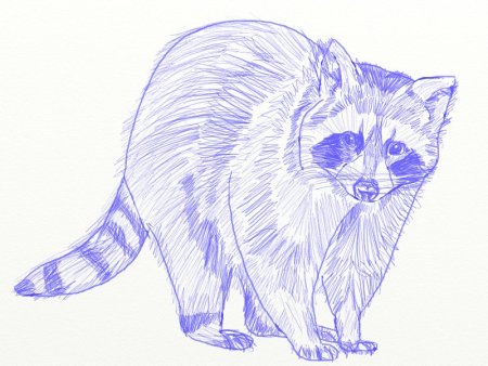 Рисунок животного