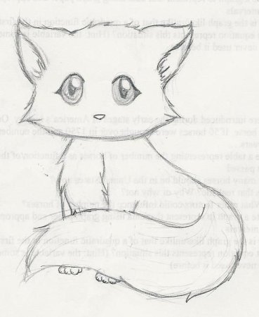 Котики для срисовки карандашом