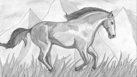 Рисунки карандашом