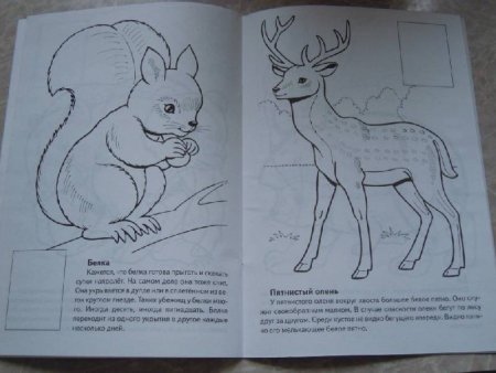 Птицы из красной книги России рисунки