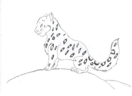 Рисунки животных из красной книги