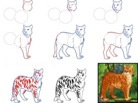 Животные красной книги рисунки карандашом легкие (46 фото)