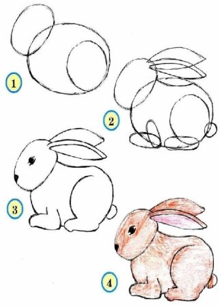 Рисунки животных поэтапно легко для детей (47 фото)