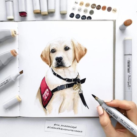 Собака маркерами