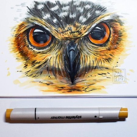 Сова маркерами