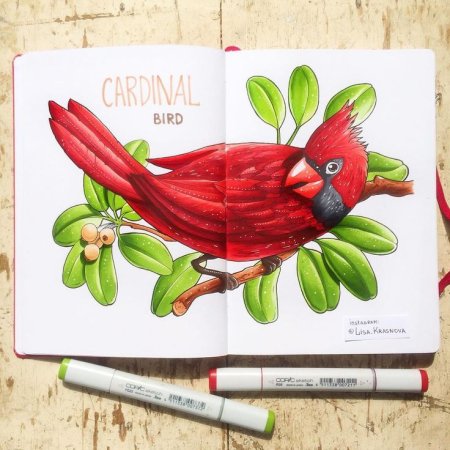 Птица маркерами