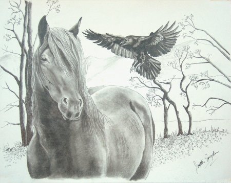 Лошадь рисунок карандашом