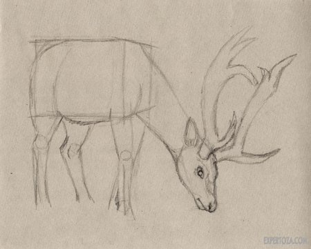 Пейзаж с животными карандашом