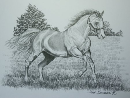 Современные картины карандашом