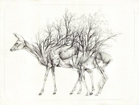 Рисунки карандашом природа и животные легкие (48 фото)