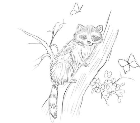 Рисунки карандашом природа и животные