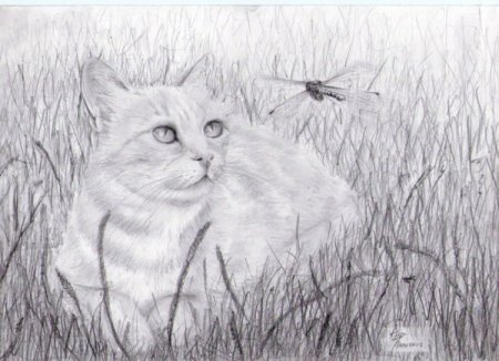 Лисенок рисунок карандашом